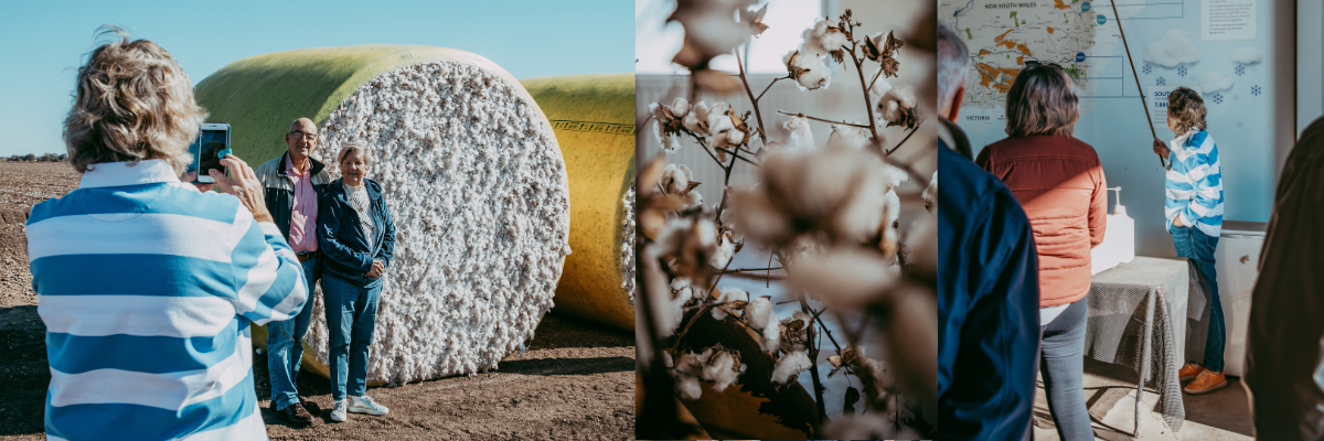 Goondiwindi-Cotton-Tour-Paulina-Eaborn.png