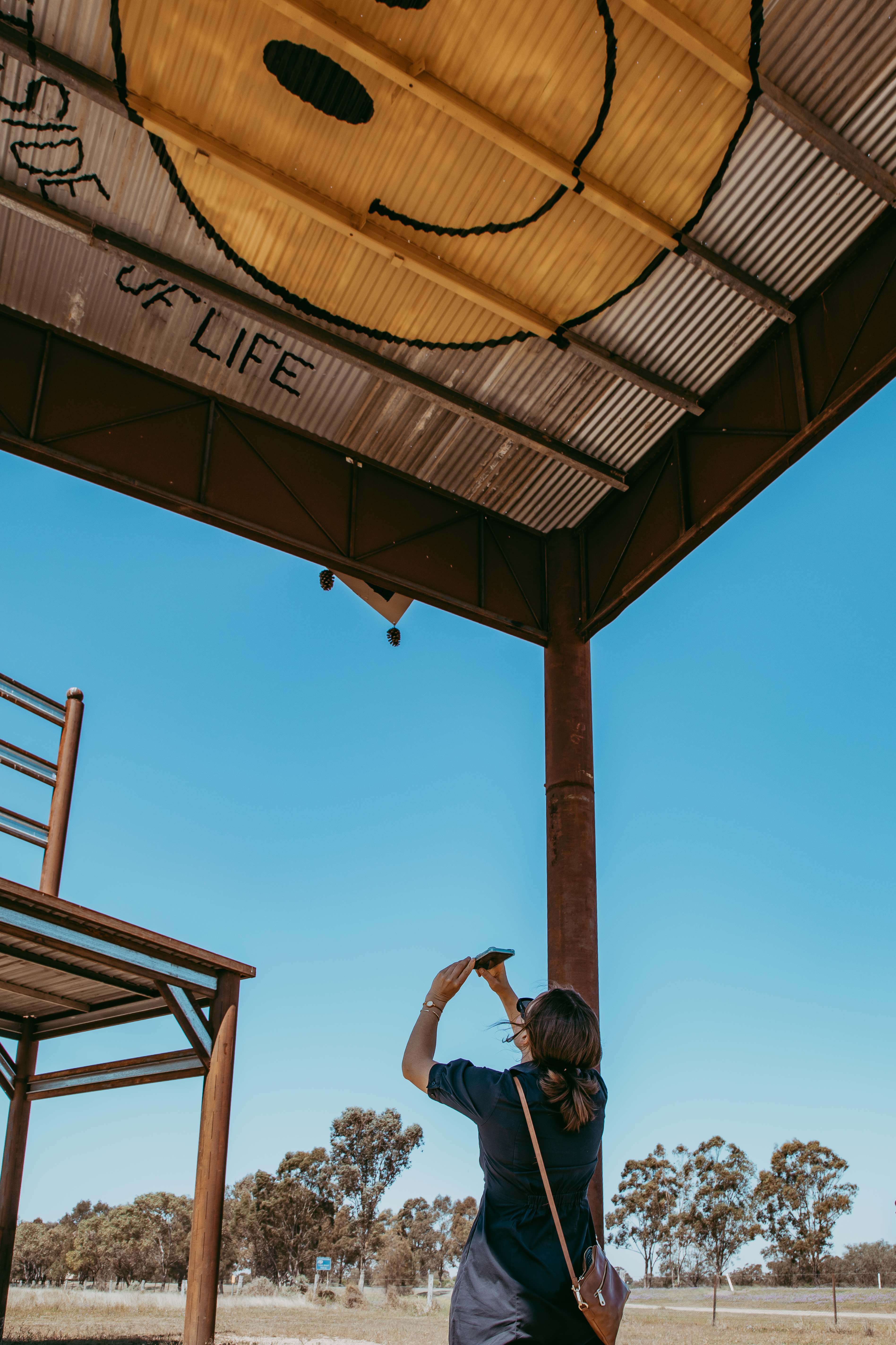 Nungwai Art Sculpture Trail - Smoko in the Meadow - Paulina Eaborn