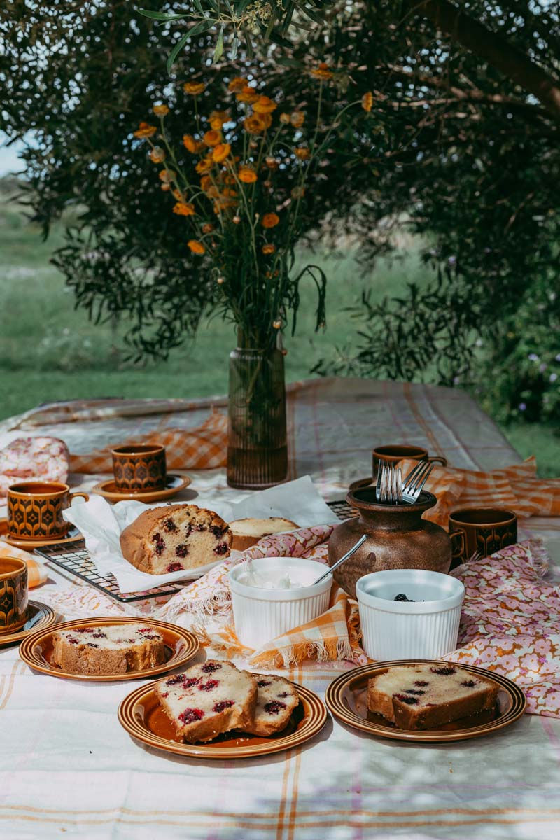 Picnic-spread-under-orange-tree-taken-by-Paulina-Eaborn.jpg