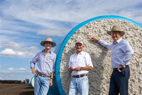 Goondiwindi Goes for Gold