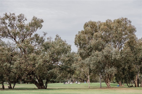 Goondiwindi Golf Club