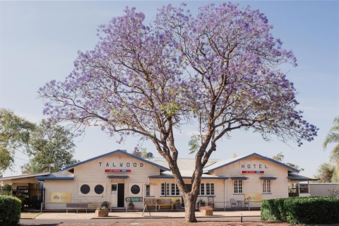 Talwood-Hotel-and-Purple-Tree-Rachel-Walker-2.jpg