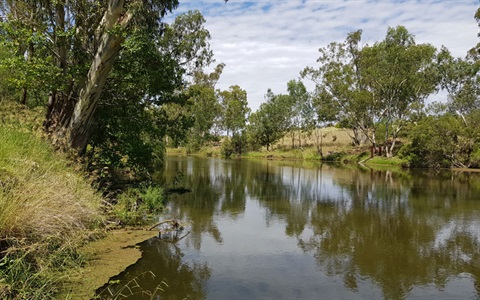 Inglewood Town Weir