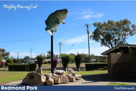 mighty murray cod