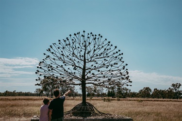 Nungwai-Art-Sculpture-Paulina-Eaborn.jpg