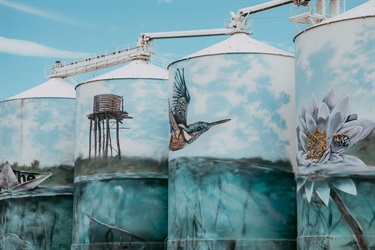 Yelarbon-Silos-Paulina-Eaborn-4.jpg