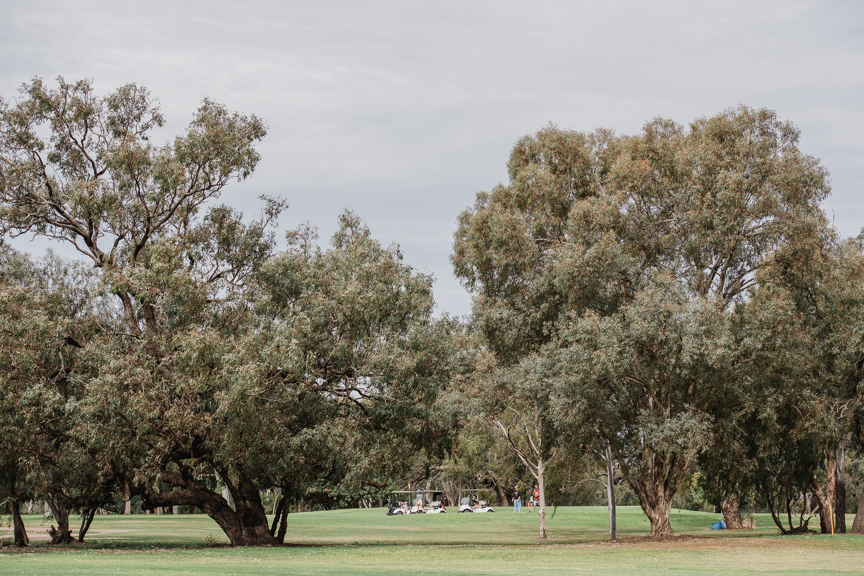 Tee off at one of these FAIRWAYS - taken by Rachel Walker.jpg