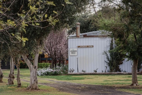 Leven K Farm Shed Shop taken by Rachel Walker