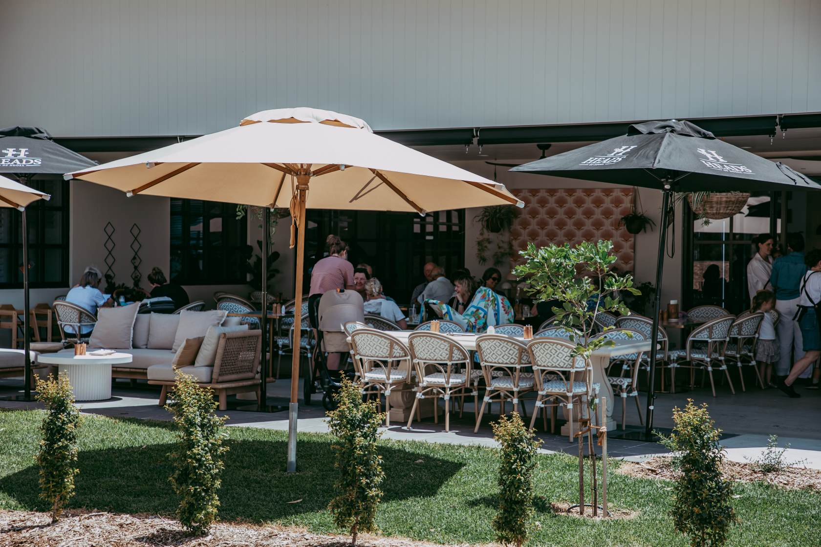 Alfie's Goondiwindi - Paulina Eaborn