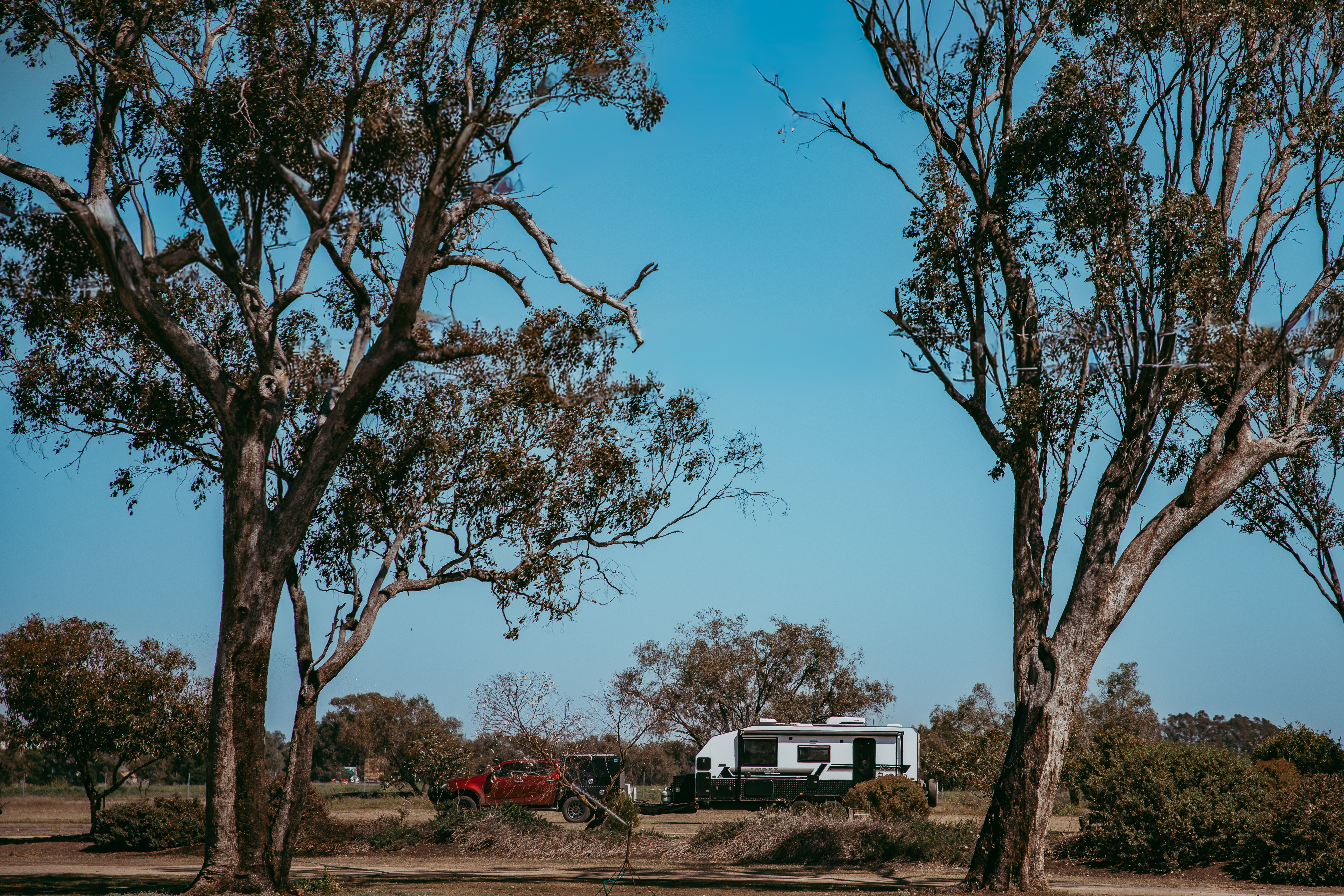 Goondiwindi Showgrounds Camping Lifestyle Caravan (30).jpg
